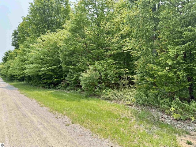 000 Honeybee Rd, Empire, MI 49630