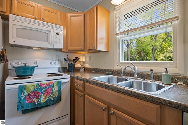 3802 S Grants Lndg, Lake Leelanau, MI 49653 - kitchen featuring white appliances, a sink, and dark countertops