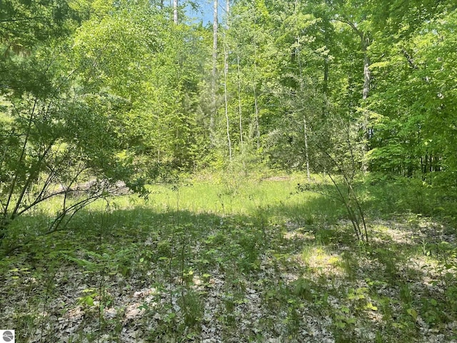 5403 E Circle Dr, Rose City, MI 48654
