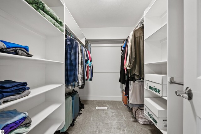 9207 Mockingbird Ln, Cadillac, MI 49601 - walk in closet with carpet floors
