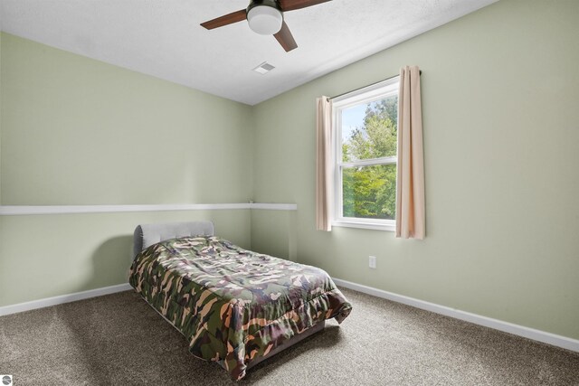 9207 Mockingbird Ln, Cadillac, MI 49601 - bedroom featuring carpet, baseboards, and a ceiling fan