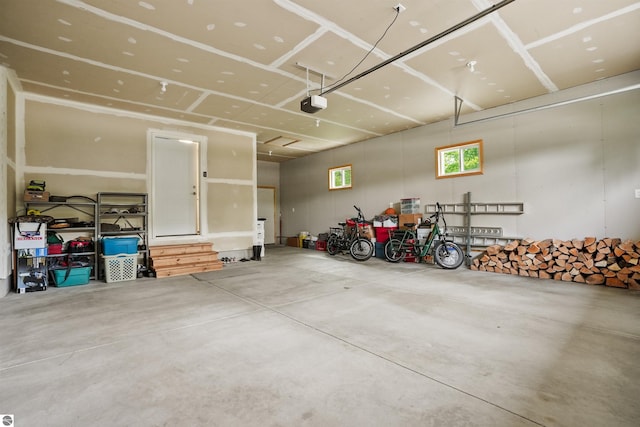 9207 Mockingbird Ln, Cadillac, MI 49601 - garage featuring a garage door opener