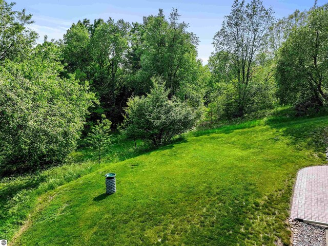 9207 Mockingbird Ln, Cadillac, MI 49601 - view of green lawn