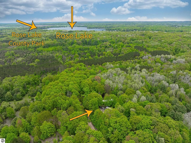 100 Fence Row Cir, Leroy, MI 49655 - bird's eye view of a heavily wooded area and a nearby body of water