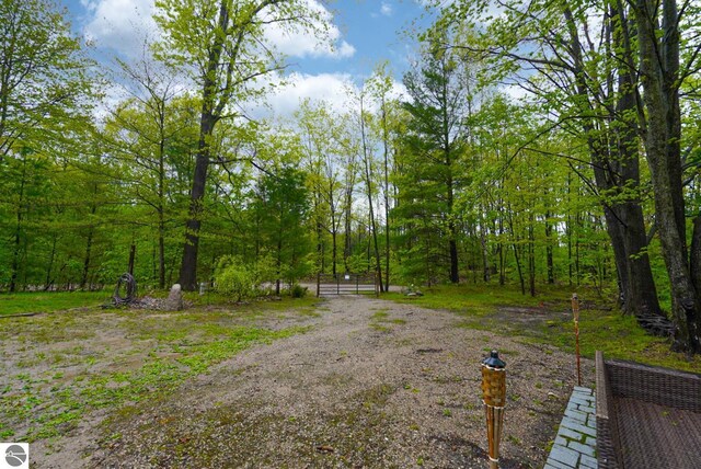 100 Fence Row Cir, Leroy, MI 49655 - view of dirt / gravel driveway with a wooded view