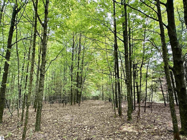 90ACRES E Otto Rd, Suttons Bay, MI 49682