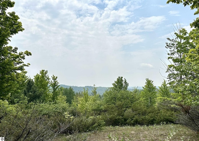 90ACRES E Otto Rd, Suttons Bay, MI 49682