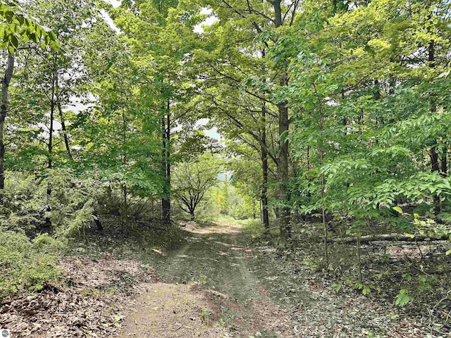 90ACRES E Otto Rd, Suttons Bay, MI 49682