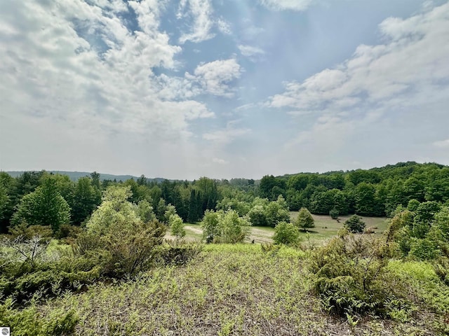 90ACRES E Otto Rd, Suttons Bay, MI 49682