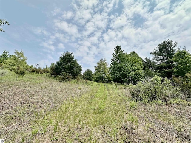 90ACRES E Otto Rd, Suttons Bay, MI 49682
