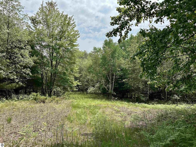 90ACRES E Otto Rd, Suttons Bay, MI 49682