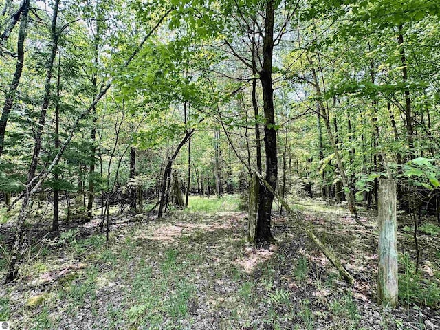 90ACRES E Otto Rd, Suttons Bay, MI 49682