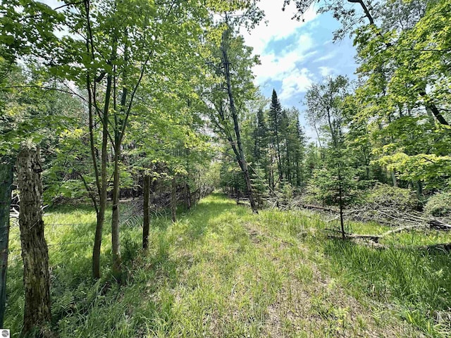 90ACRES E Otto Rd, Suttons Bay, MI 49682