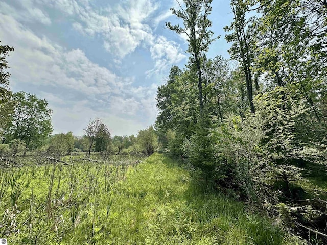 90ACRES E Otto Rd, Suttons Bay, MI 49682