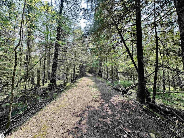90ACRES E Otto Rd, Suttons Bay, MI 49682