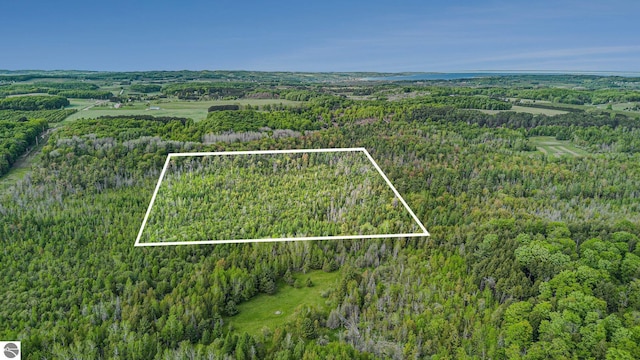 90ACRES E Otto Rd, Suttons Bay, MI 49682
