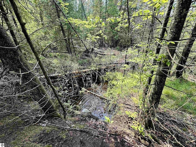 90ACRES E Otto Rd, Suttons Bay, MI 49682