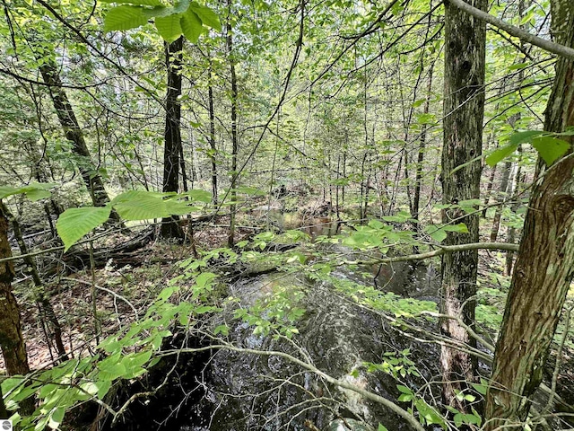 90ACRES E Otto Rd, Suttons Bay, MI 49682