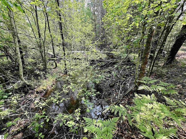 90ACRES E Otto Rd, Suttons Bay, MI 49682