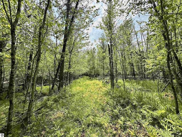 90ACRES E Otto Rd, Suttons Bay, MI 49682