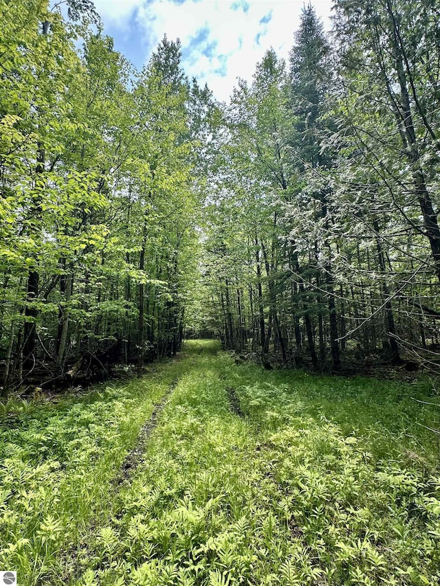 90ACRES E Otto Rd, Suttons Bay, MI 49682