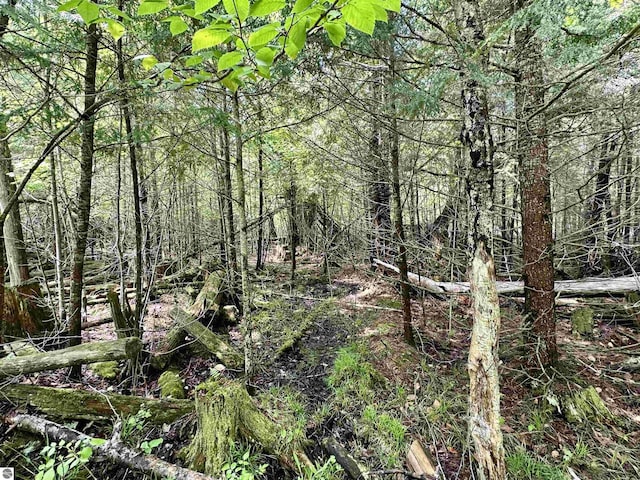 90ACRES E Otto Rd, Suttons Bay, MI 49682