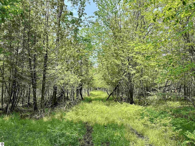 90ACRES E Otto Rd, Suttons Bay, MI 49682
