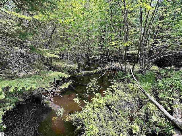 90ACRES E Otto Rd, Suttons Bay, MI 49682