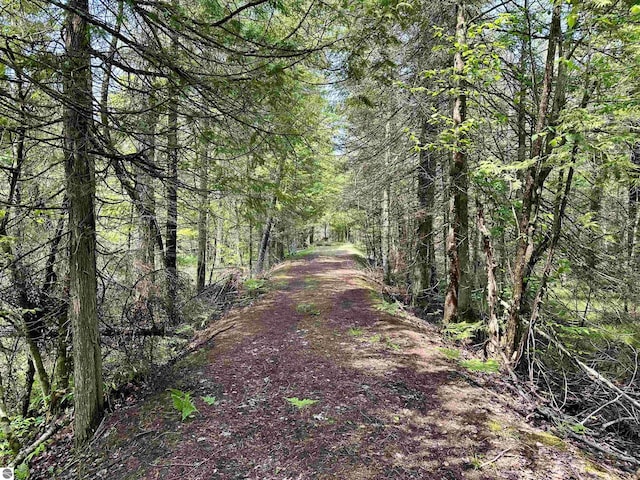 90ACRES E Otto Rd, Suttons Bay, MI 49682