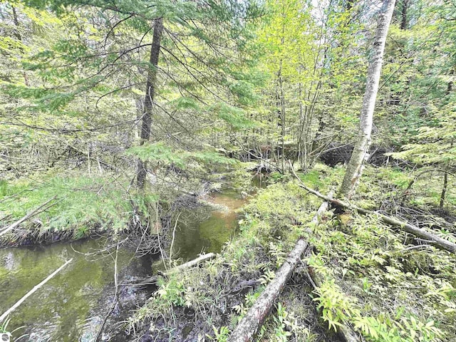 90ACRES E Otto Rd, Suttons Bay, MI 49682