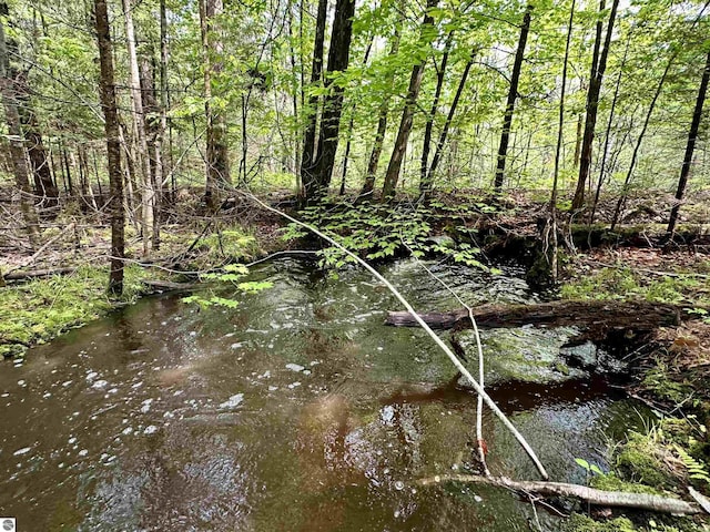 90ACRES E Otto Rd, Suttons Bay, MI 49682