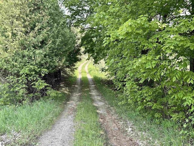 90ACRES E Otto Rd, Suttons Bay, MI 49682