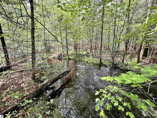 90ACRES E Otto Rd, Suttons Bay, MI 49682