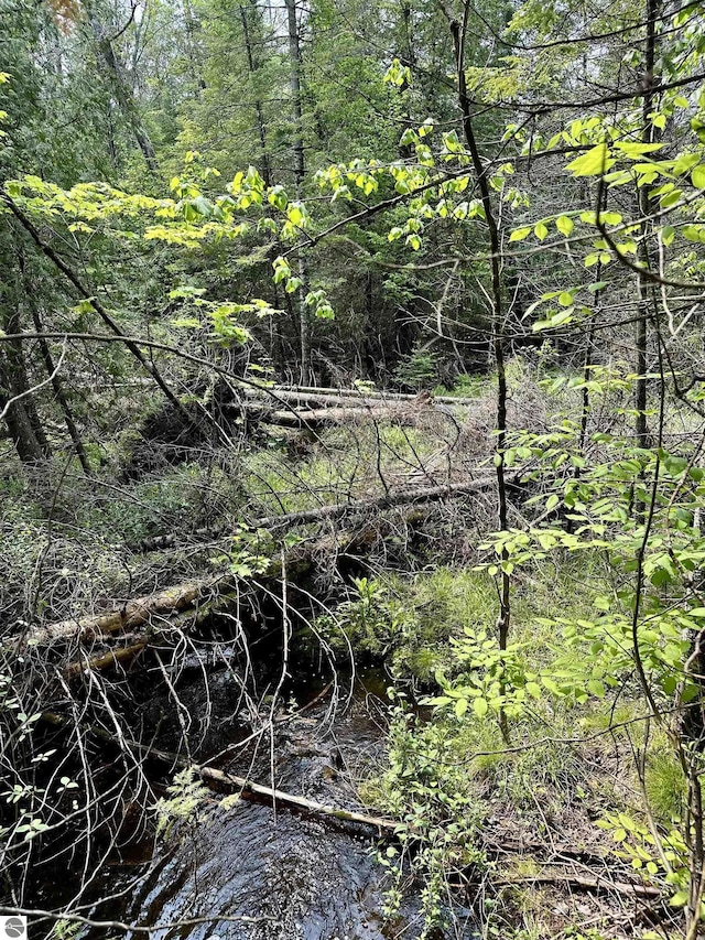90ACRES E Otto Rd, Suttons Bay, MI 49682