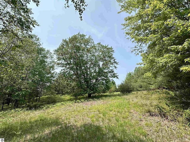90ACRES E Otto Rd, Suttons Bay, MI 49682