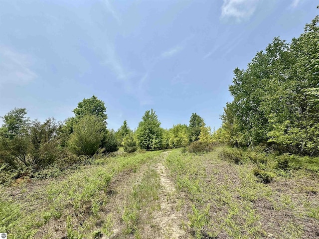 90ACRES E Otto Rd, Suttons Bay, MI 49682