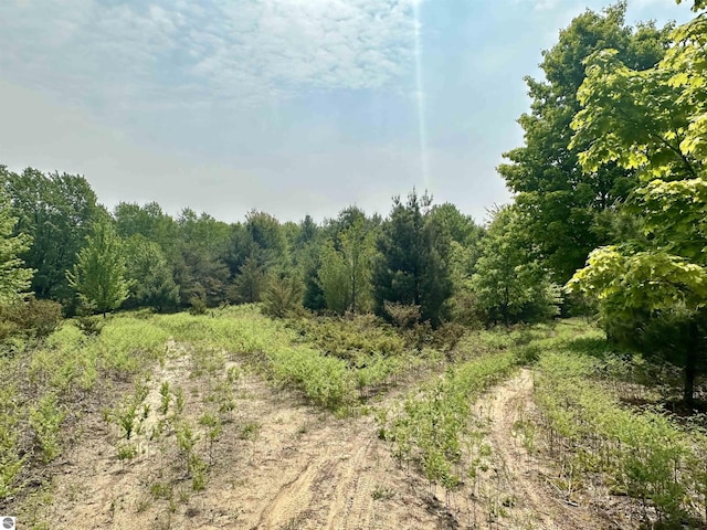 90ACRES E Otto Rd, Suttons Bay, MI 49682