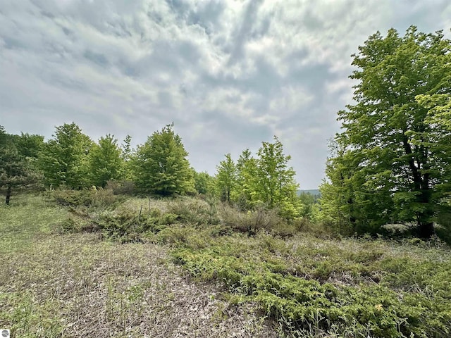 90ACRES E Otto Rd, Suttons Bay, MI 49682