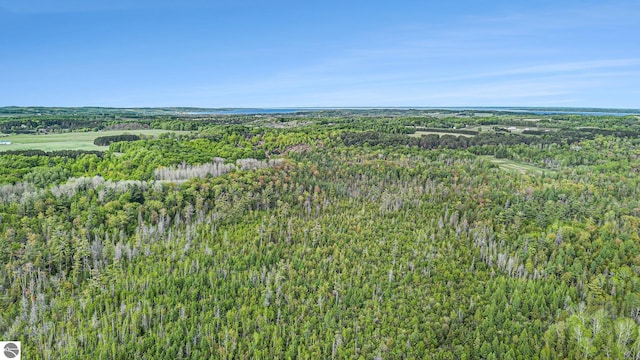 90ACRES E Otto Rd, Suttons Bay, MI 49682