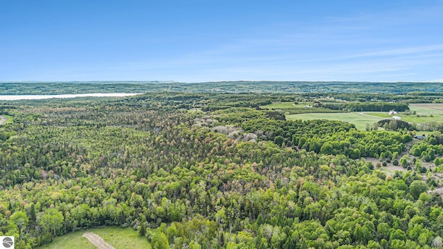 90ACRES E Otto Rd, Suttons Bay, MI 49682
