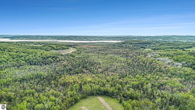 90ACRES E Otto Rd, Suttons Bay, MI 49682