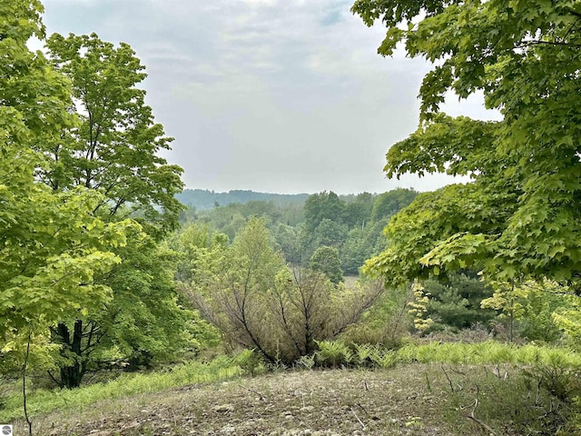 90ACRES E Otto Rd, Suttons Bay, MI 49682
