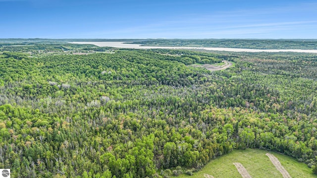 90ACRES E Otto Rd, Suttons Bay, MI 49682