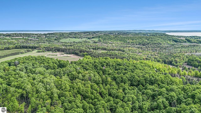90ACRES E Otto Rd, Suttons Bay, MI 49682