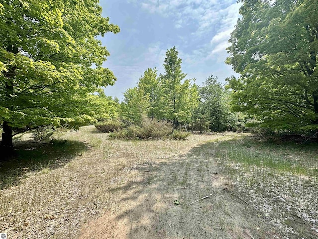 90ACRES E Otto Rd, Suttons Bay, MI 49682