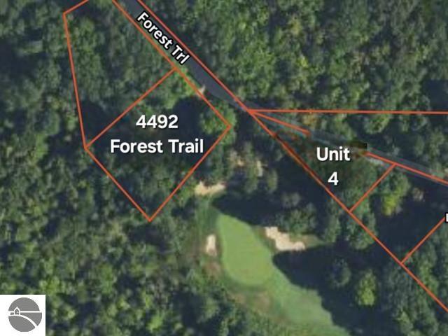 4492 Forest Trl, Bellaire, MI 49615 - map of property location with property boundaries highlighted