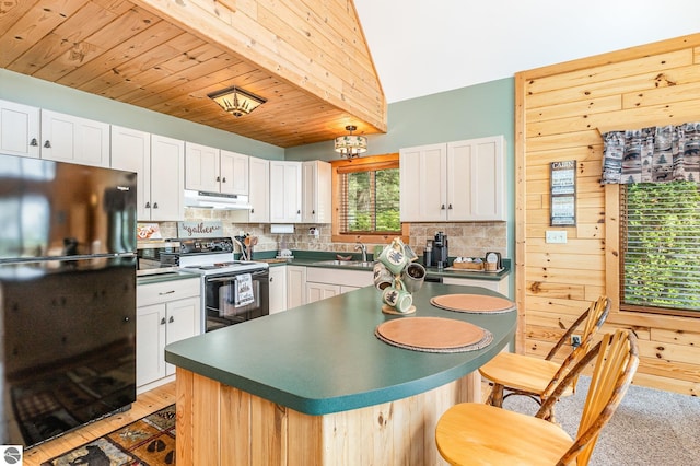 1715 Sunrise Dr, Greenbush, MI 48738 - kitchen with freestanding refrigerator, under cabinet range hood, white electric stove, backsplash, and wood ceiling