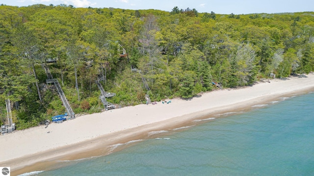 1715 Sunrise Dr, Greenbush, MI 48738 - drone / aerial view of a heavily wooded area and unending shoreline