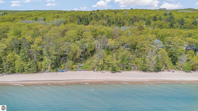 1715 Sunrise Dr, Greenbush, MI 48738 - drone / aerial view of a forest and unending shoreline