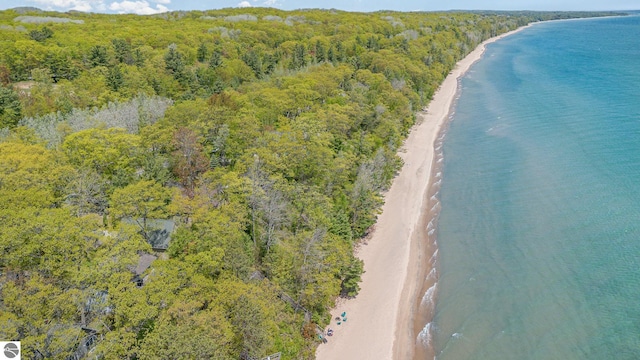 1715 Sunrise Dr, Greenbush, MI 48738 - aerial overview of property's location featuring a heavily wooded area and expansive beach